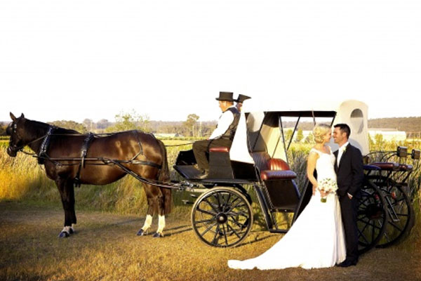 hunter-valley-wedding-carriages.jpg