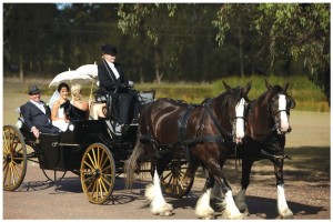 hv-classic-carriages-400x600.jpg